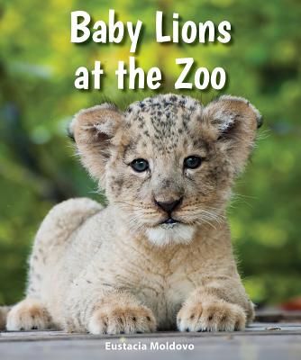 Baby Lions at the Zoo - Moldovo, Eustacia