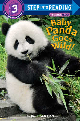 Baby Panda Goes Wild! - Salomon, David
