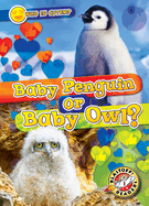 Baby Penguin or Baby Owl?