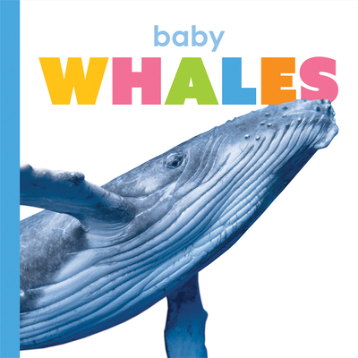 Baby Whales - Riggs, Kate