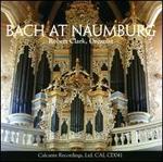 Bach at Naumburg