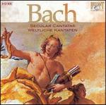 Bach: Secular Cantatas - Arleen Augr (soprano); Astrid Pilzecker (alto); Carolyn Watkinson (alto); Eberhard Bchner (tenor); Edith Mathis (soprano);...
