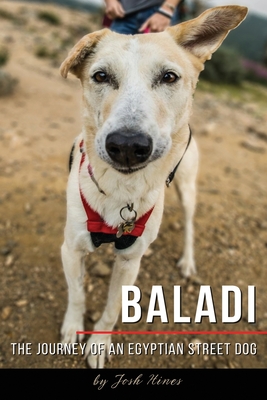 Baladi: The Journey of an Egyptian Street Dog - Stewart, Nick (Editor), and Stewart, Carrie (Editor), and Miller, Jennifer (Editor)