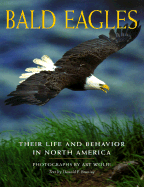 Bald Eagles: Their Life and Behavior in North America