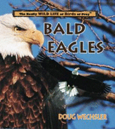 Bald Eagles - Wechsler, Doug
