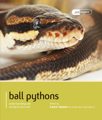 Ball Python (Royal Python) - Jepson, Lance