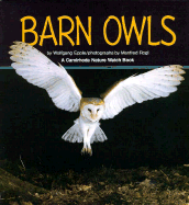 Barn Owls