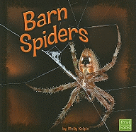 Barn Spiders