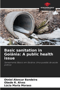 Basic sanitation in Goi?nia: A public health issue
