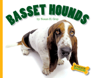 Basset Hounds - Gray, Susan H
