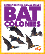 Bat Colonies