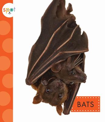 Bats - Dieker, Wendy Strobel