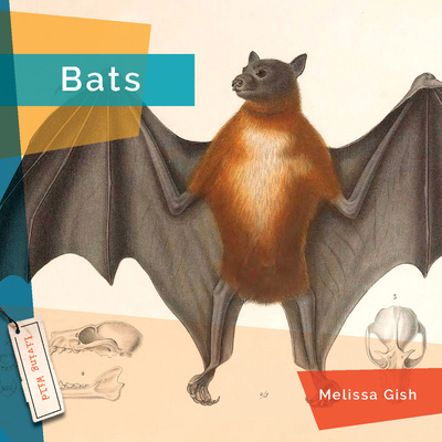 Bats - Gish, Melissa