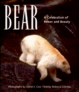 Bear: A Celebration of Power and Beauty