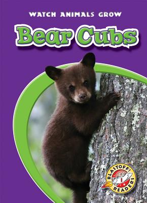 Bear Cubs - Wendorff, Anne