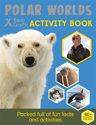 Bear Grylls Sticker Activity: Polar Worlds - Grylls, Bear