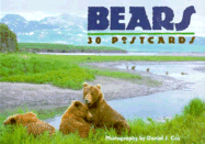 Bears: 30 Postcards