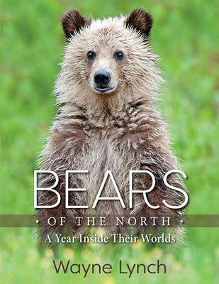 Bears of the North: A Year Inside Their Worlds - Lynch, Wayne