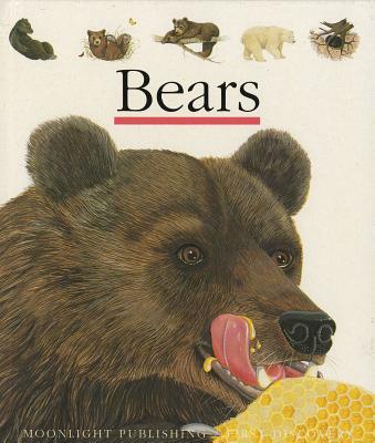 Bears - Bour, Laura