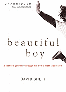 Beautiful Boy: A Father's Journey Through His Son's Meth Addiction