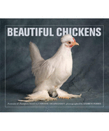 Beautiful Chickens - Aschwanden, Christie