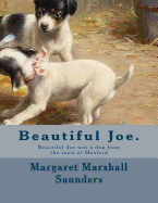 Beautiful Joe.: Beautiful Joe Was a Dog from the Town of Meaford