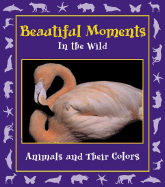 Beautiful Moments in the Wild: Animals and Their Colors