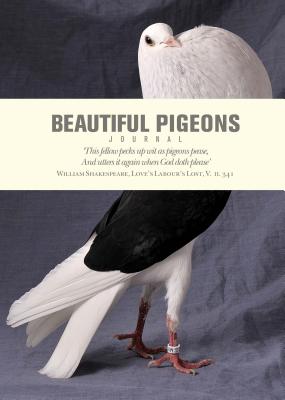Beautiful Pigeons Journal - Ivy Press (Creator)