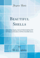 Beautiful Shells: Their Nature, Structure, and Uses Familiarly Explained, with Directions for Collecting, Cleaning, and Arranging Them in the Cabinet and Descriptions of the Most Remarkable Species (Classic Reprint)