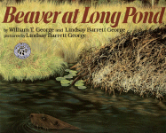 Beaver at Long Pond - 