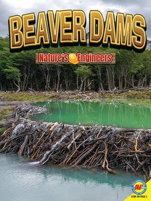 Beaver Dams - Furstinger, Nancy