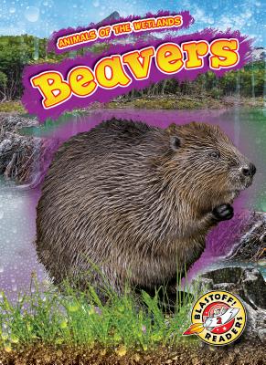 Beavers - Grack, Rachel