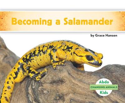 Becoming a Salamander - Hansen, Grace