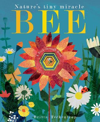 Bee: Nature's tiny miracle - Hegarty, Patricia