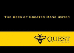 Bee Quest