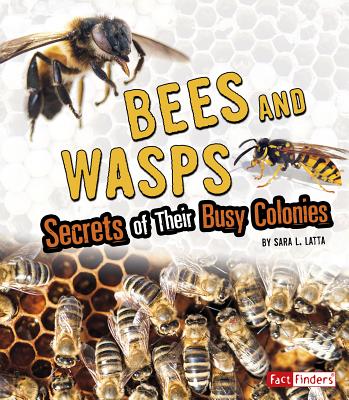 Bees and Wasps: Secrets of Their Busy Colonies - Latta, Sara L