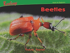 Beetles