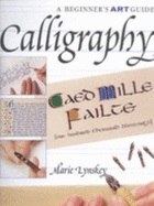Beginner's art guide calligraphy