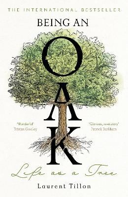 Being an Oak: Life as a tree - Tillon, Laurent, and Moore, Jessica (Translated by)