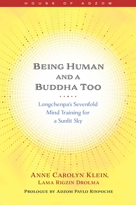Being Human and a Buddha Too: Longchenpa's Seven Trainings for a Sunlit Sky - Klein, Anne