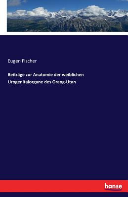 Beitr?ge Zur Anatomie Der Weiblichen Urogenitalorgane Des Orang-Utan By ...