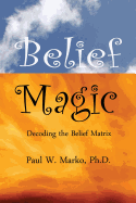 Belief Magic: Decoding the Belief Matrix