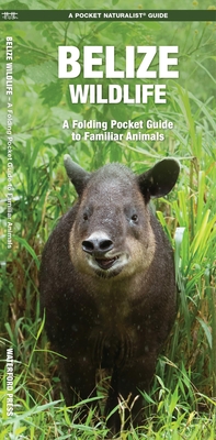 Belize Wildlife: A Folding Pocket Guide to Familiar Animals - Kavanagh, James, and Waterford Press