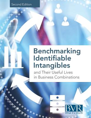 Benchmarking Identifiable Intangibles and Their Useful Lives in Business Combinations, Second Edition - Bvr