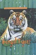 Bengal Tigers