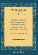 Bericht ber Die Senckenbergische Naturforschende Gesellschaft in Frankfurt Am Main: Von Juni 1870 Bis Juni 1871 (Classic Reprint)