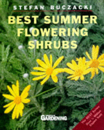 Best summer flowering shrubs