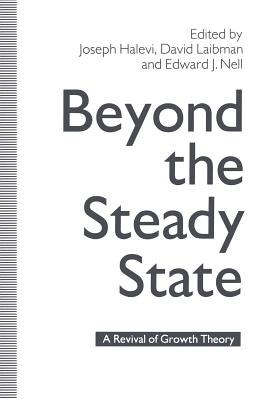 Beyond the Steady State: A Revival of Growth Theory - Halevi, Joseph