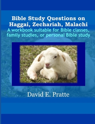 Bible Study Questions on Haggai, Zechariah, Malachi: A workbook suitable for Bible classes, family studies, or personal Bible study - Pratte, David E