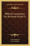 Biblical Commentary On The Book Of Job V1